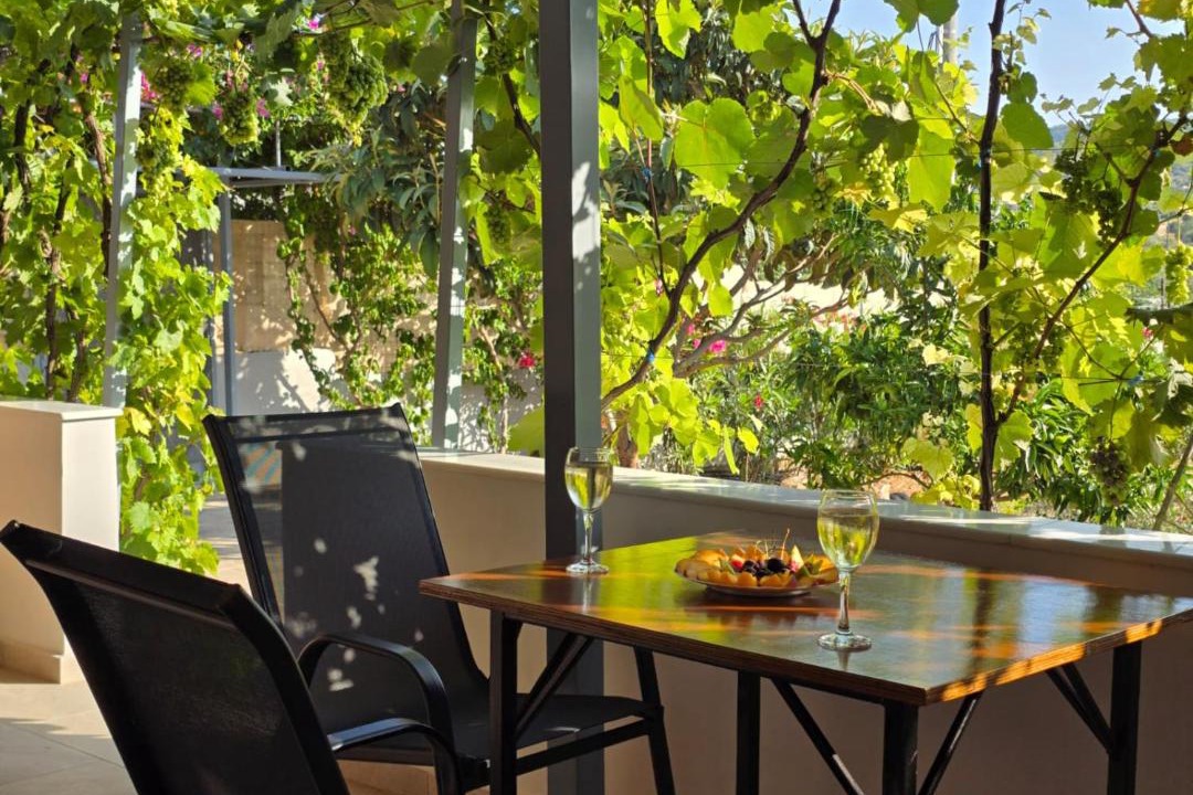 Salamis Apartment | Garden Room by the Vineyard Salamis
