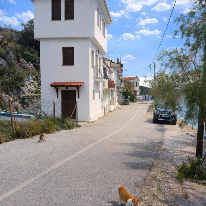 Trikeri House | Μπροστά στο ναυάγιο Καλή τύχη