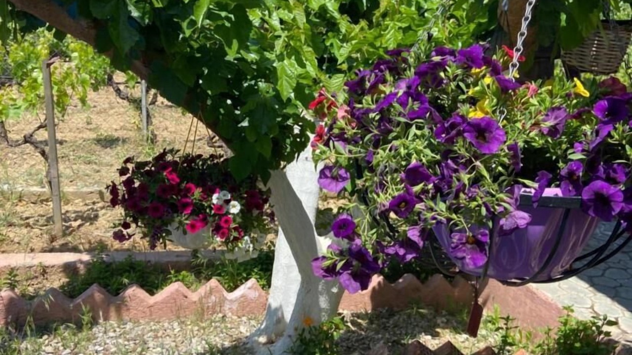 Photo of Outdoor in Chalcis