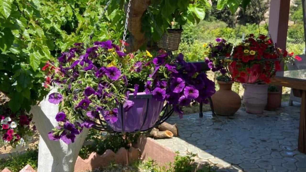 Photo of Outdoor in Chalcis