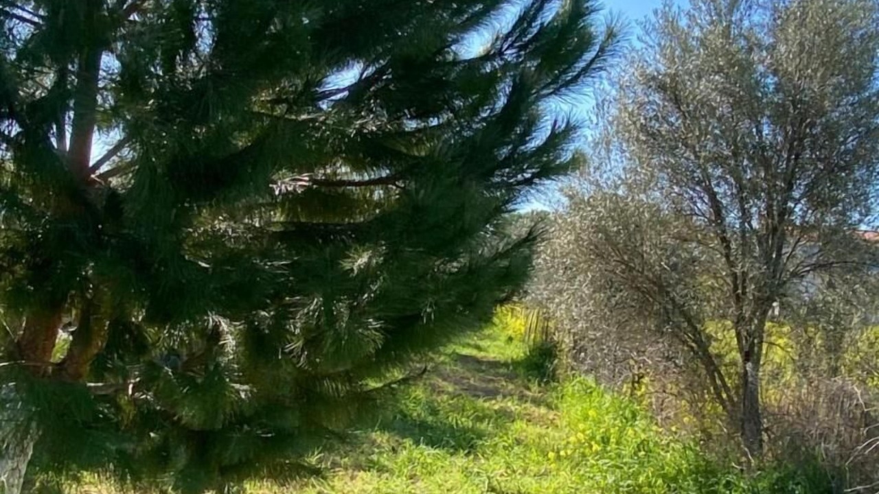 Photo of Outdoor in Chalcis