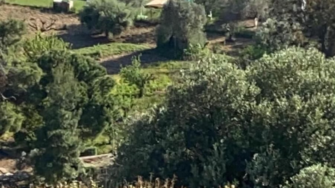 Photo of Outdoor in Chalcis