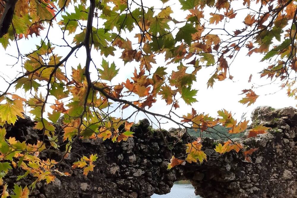 Photo of Outdoor in Synikia Mesi Trikalon