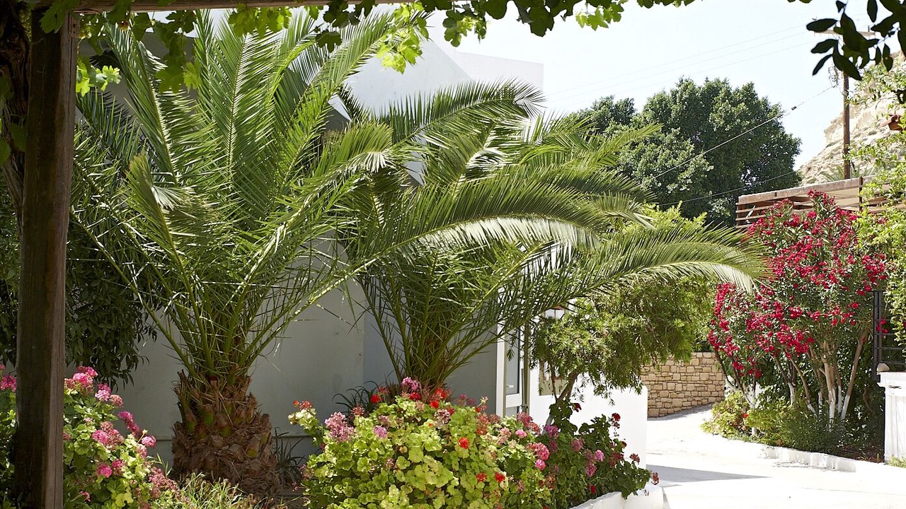 Photo of Outdoor in Matala