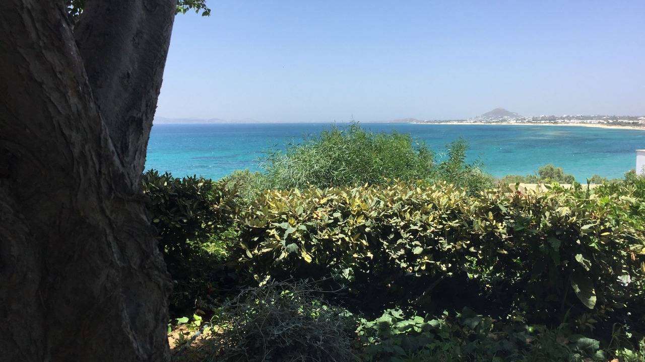 Photo of Outdoor in Maragas