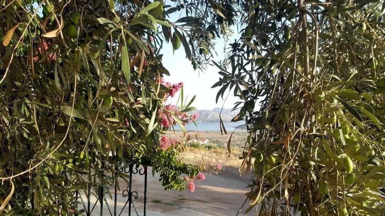 Photo of Outdoor in Anavyssos