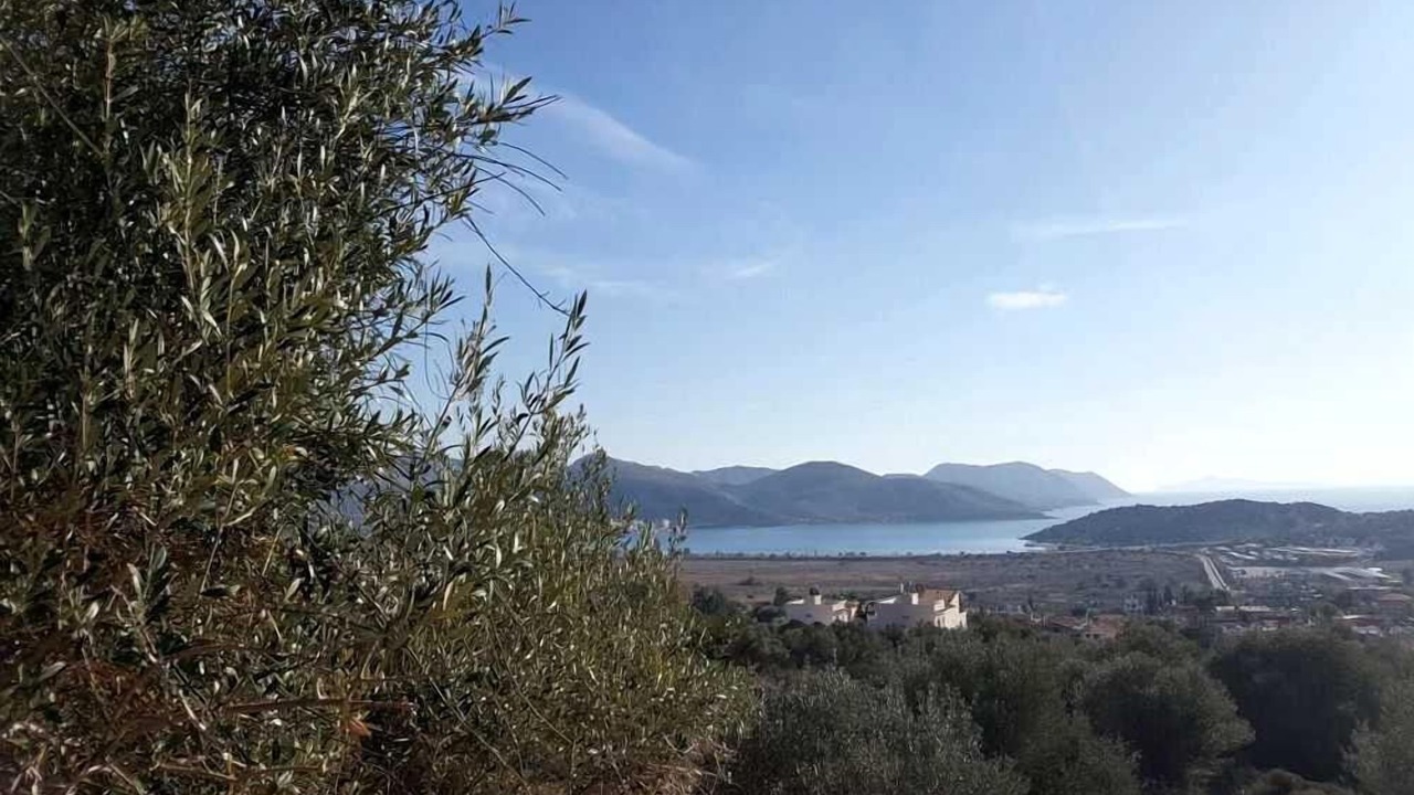 Photo of Others in Anavyssos