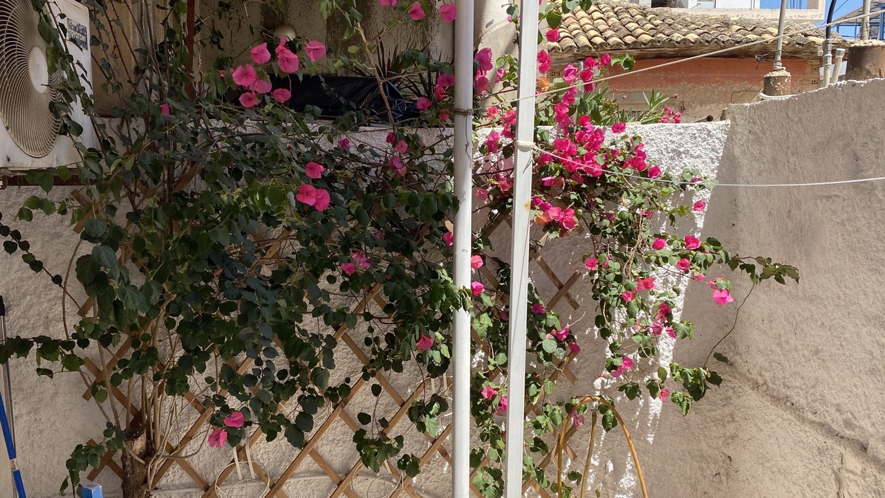 Photo of Outdoor in Patras