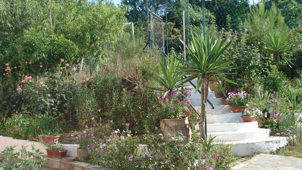 Photo of Outdoor in Kato Korakiana