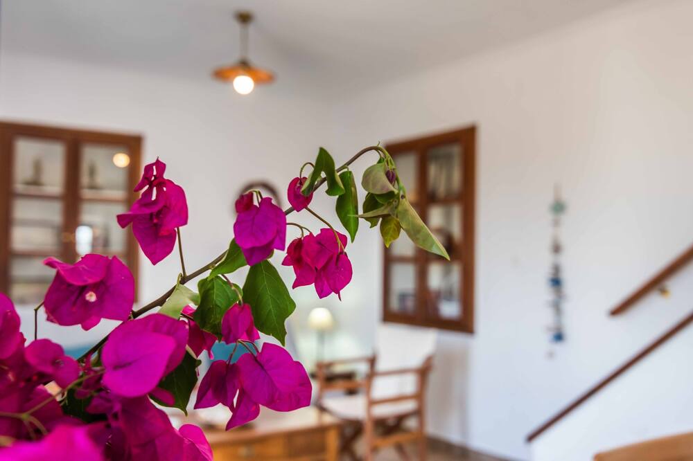 Photo of Others in Milos