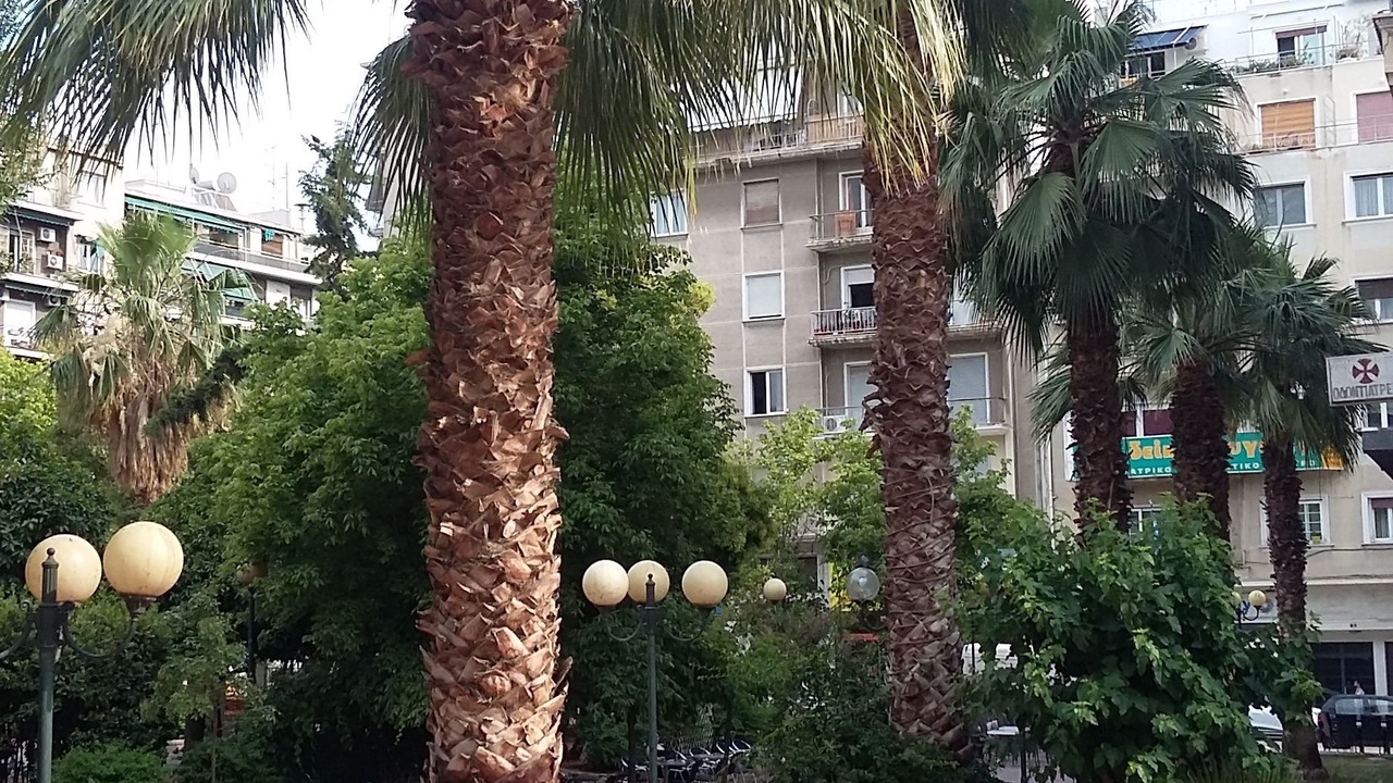 Photo of Buildings in Athens