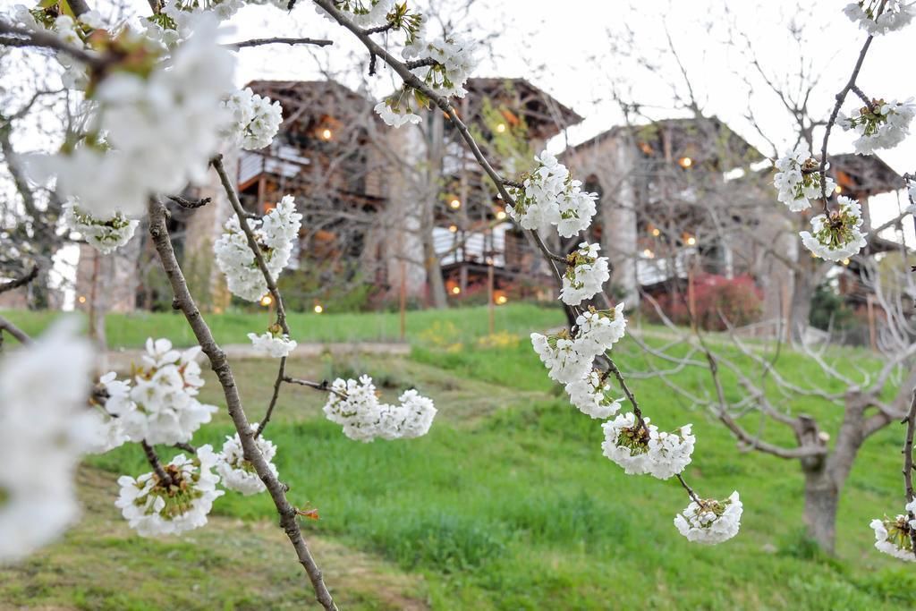 Photo of Outdoor in Synikia Mesi Trikalon