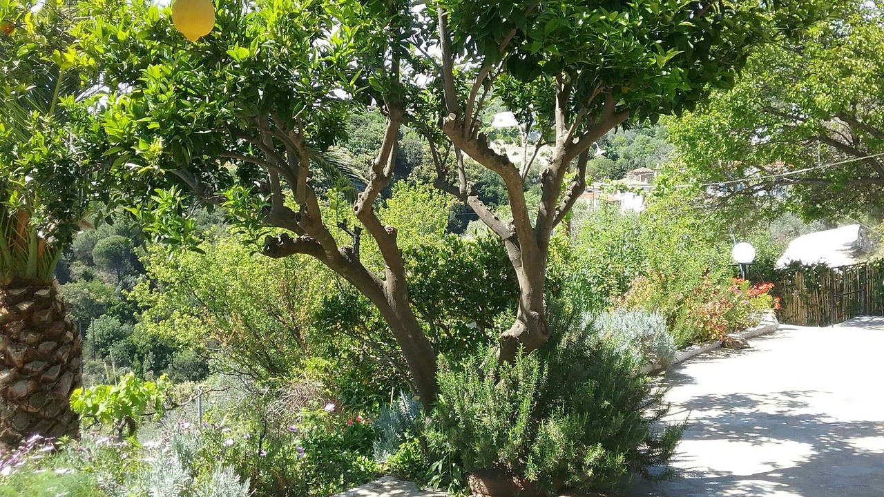 Photo of Outdoor in Glossa