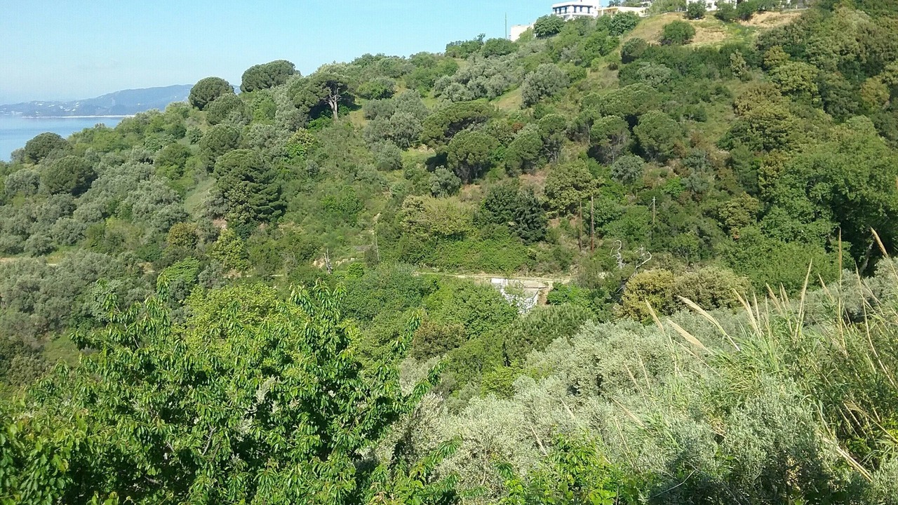 Photo of Outdoor in Glossa