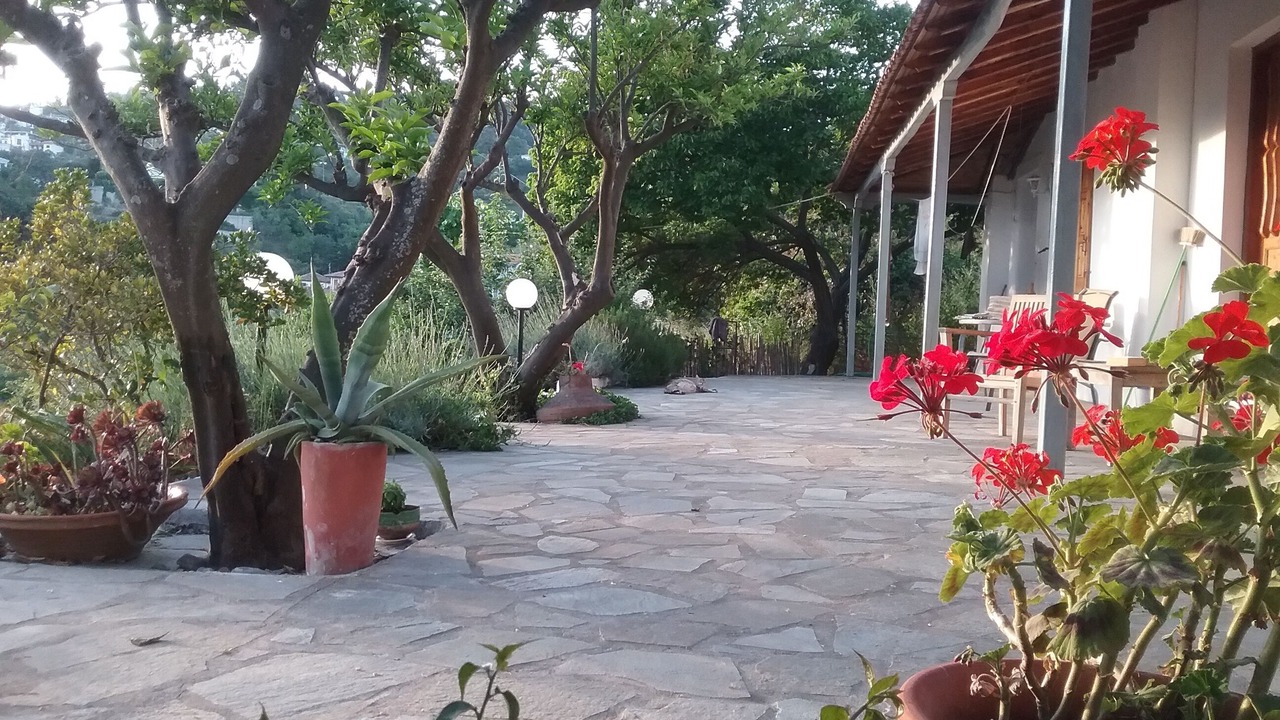 Photo of Outdoor in Glossa