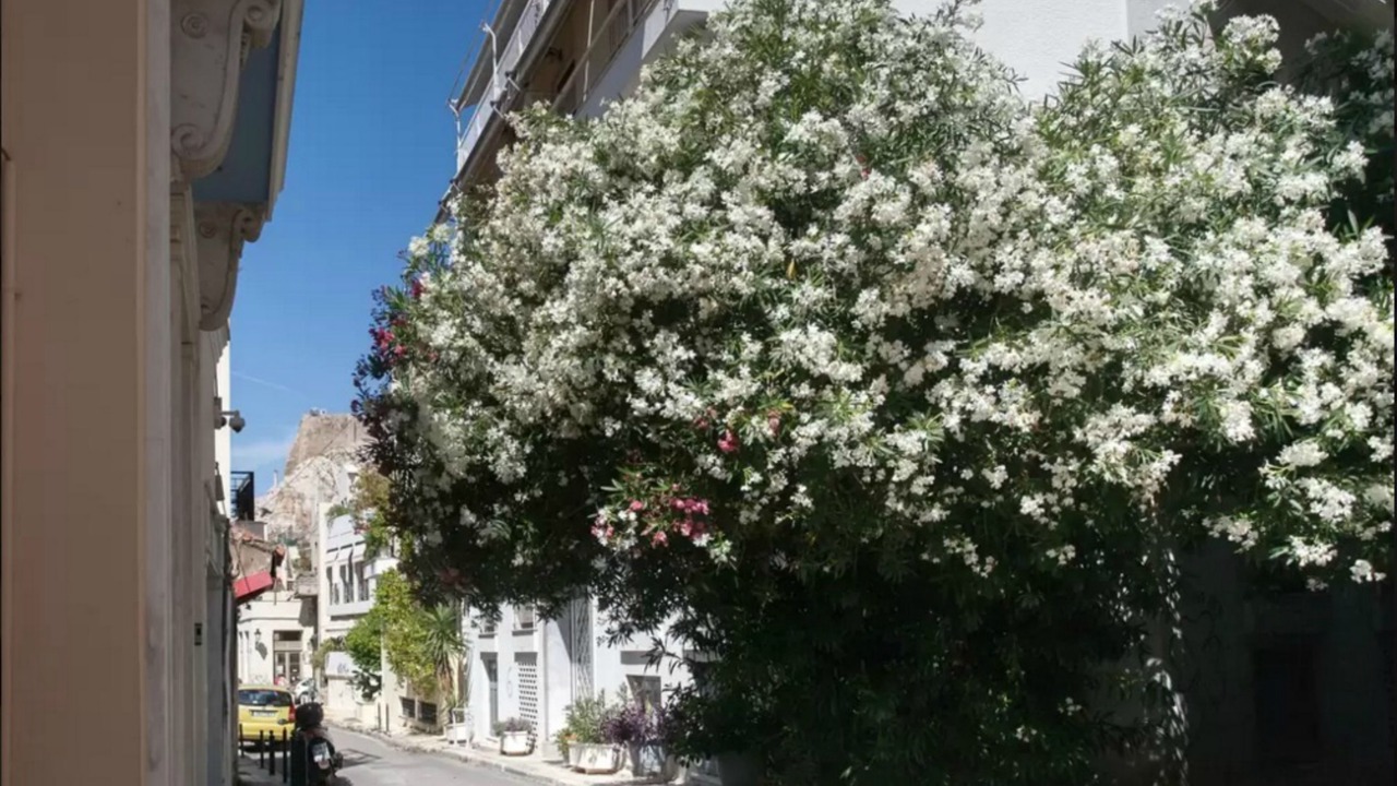 Photo of Outdoor in Plaka