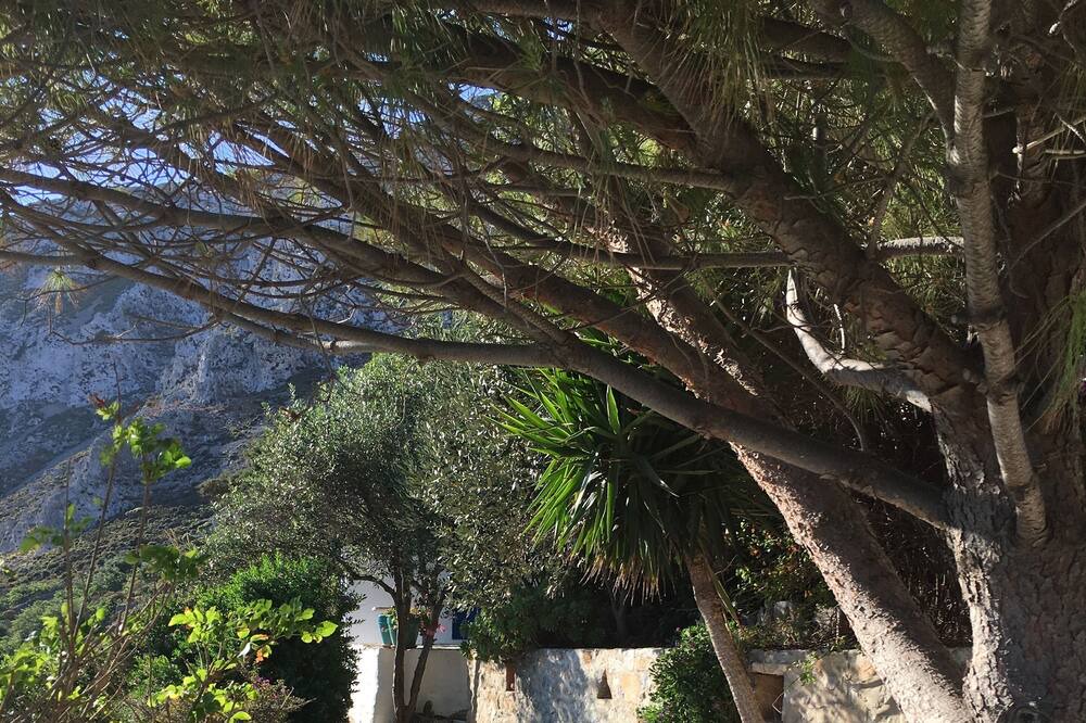 Photo of Outdoor in Aegiali