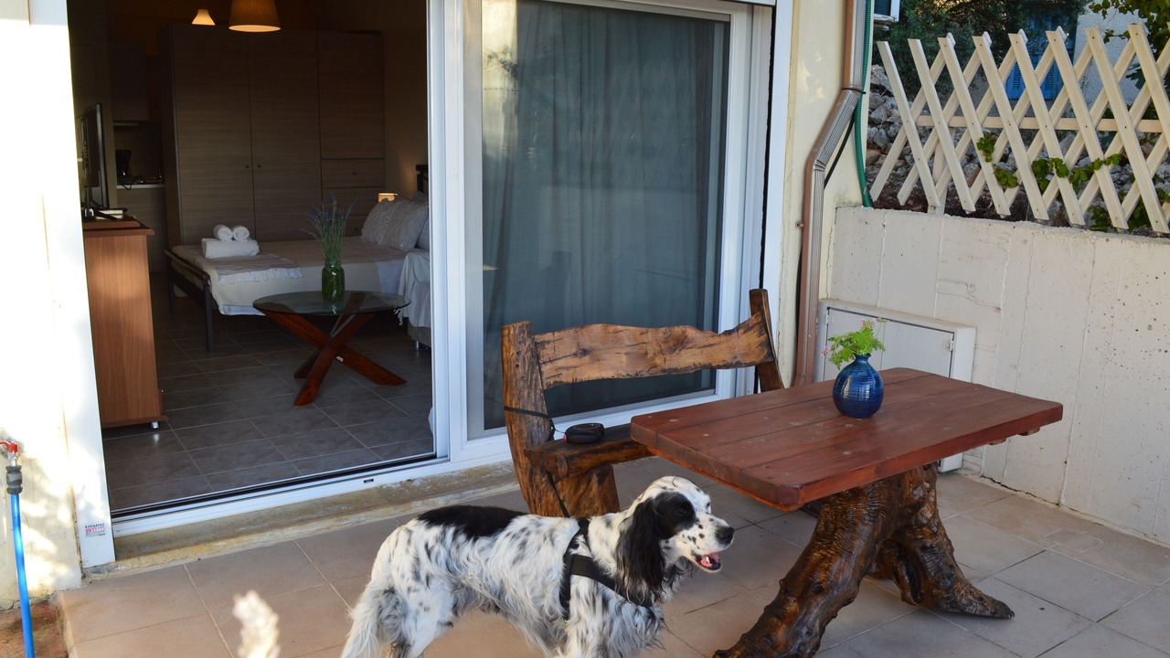 Photo of Others in Pylos
