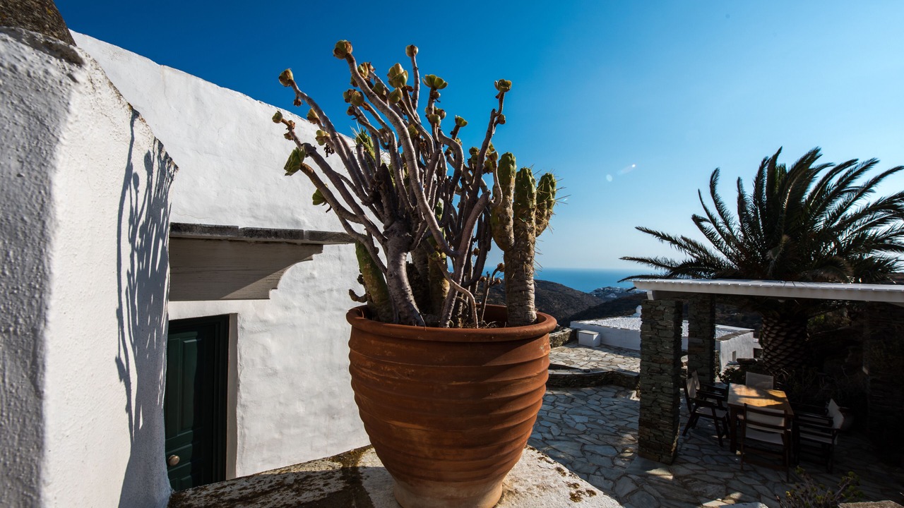 Photo of Patio Balcony in Platis Gialos