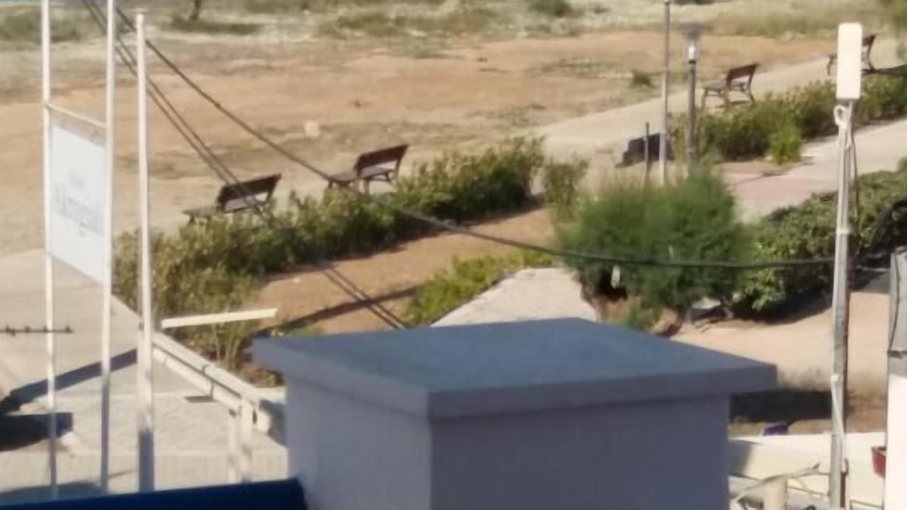 Photo of Patio Balcony in Scala
