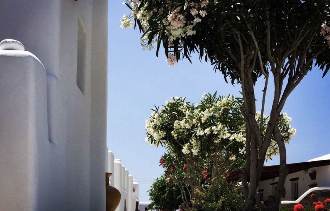 Photo of Outdoor in Mykonos Town