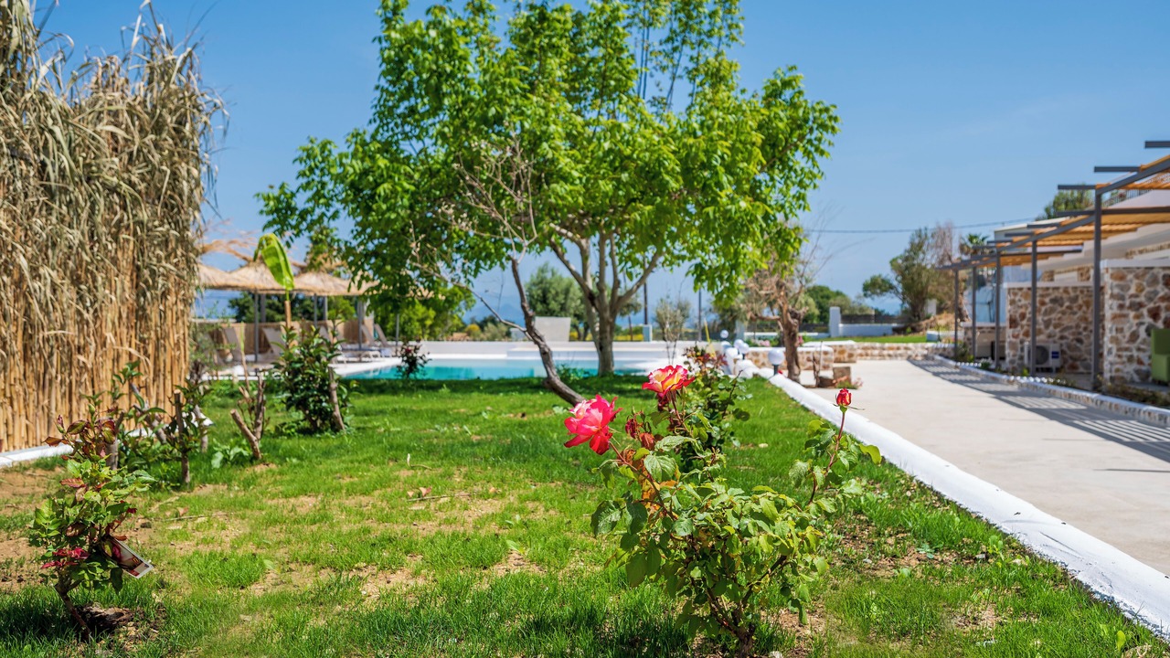 Photo of Outdoor in Kos