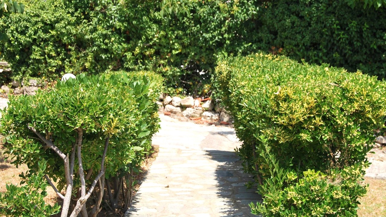 Photo of Outdoor in Thermi