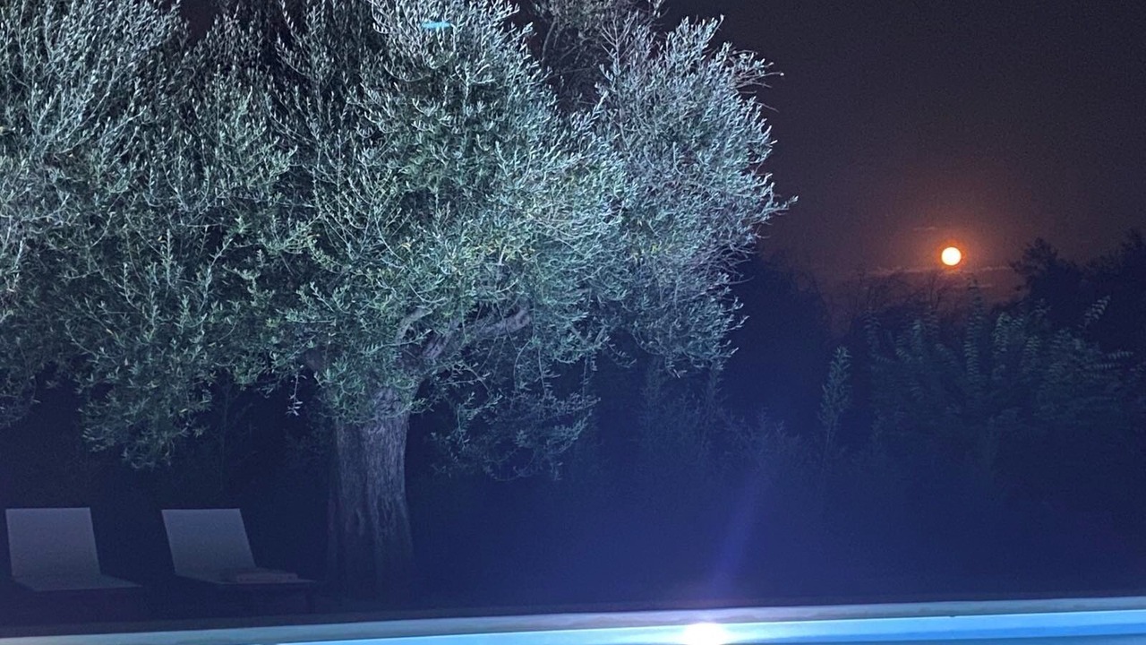 Photo of Outdoor in Karvelas