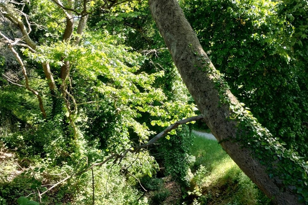 Photo of Outdoor in Afetai