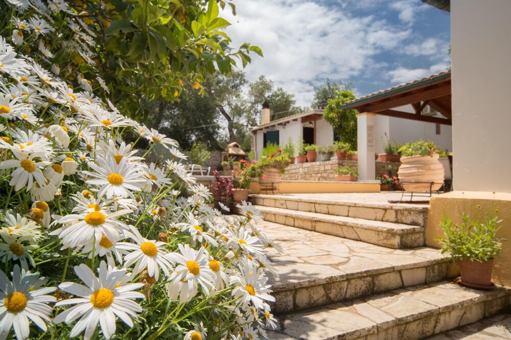 Photo of Outdoor in Koutsi