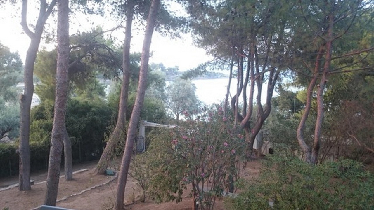Photo of Outdoor in Chalcis