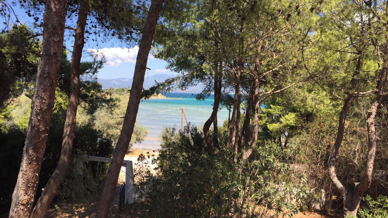 Photo of Others in Chalcis