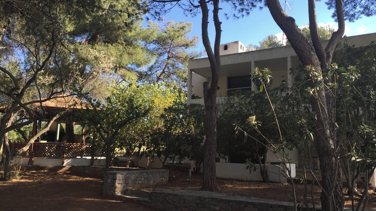 Photo of Outdoor in Chalcis