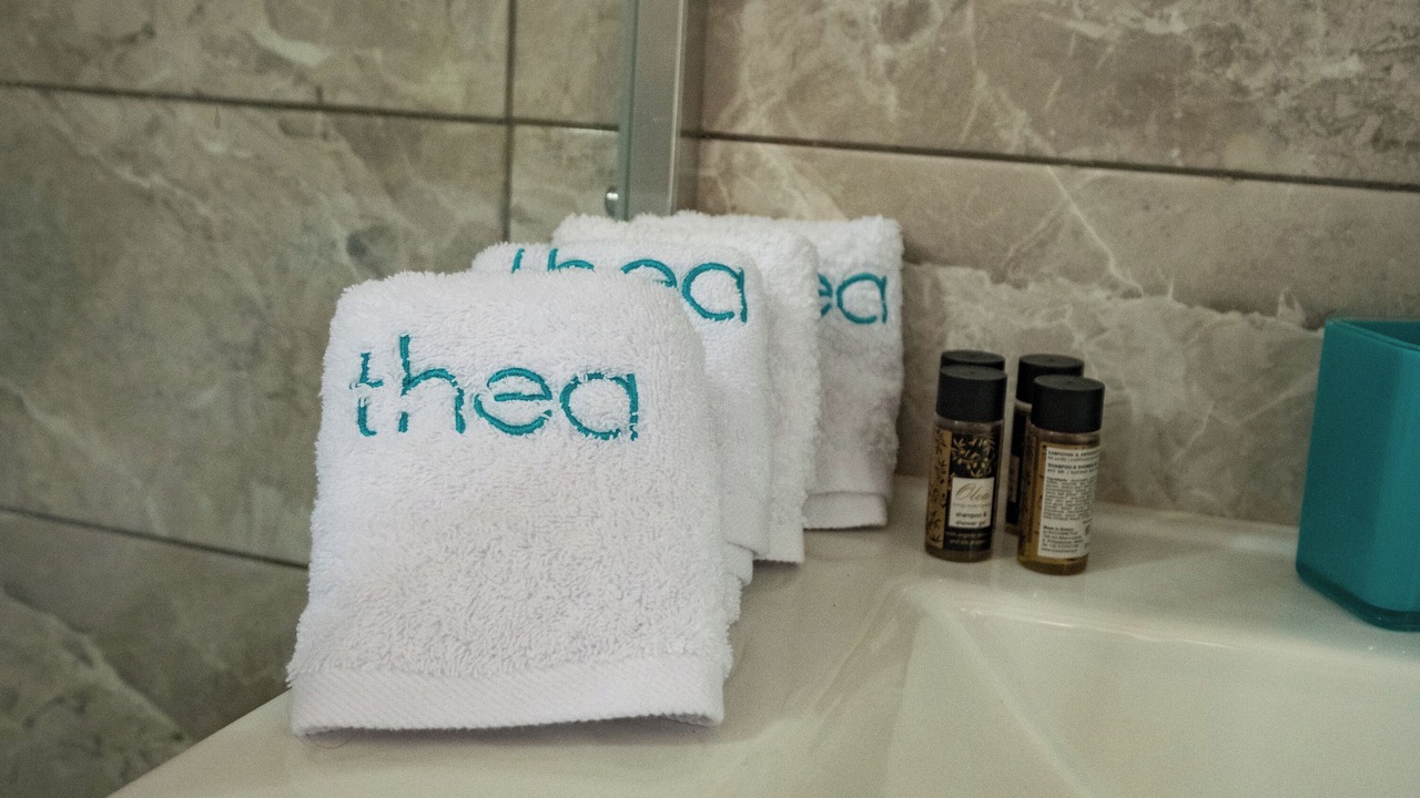 Photo of Bathroom in Lepreo