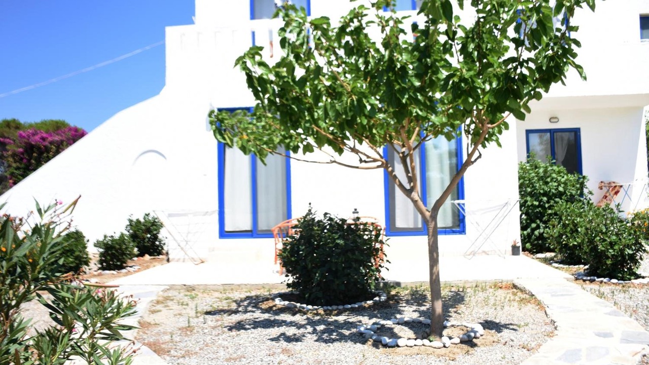 Photo of Outdoor in Kiotari
