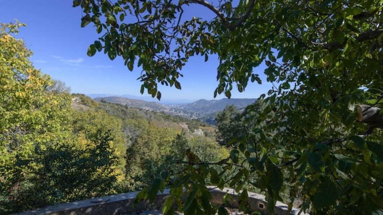 Photo of Outdoor in Synikia Mesi Trikalon