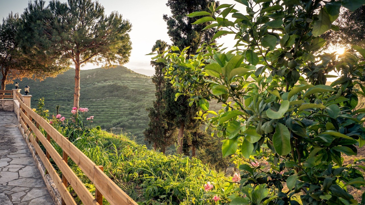 Photo of Outdoor in Argassi