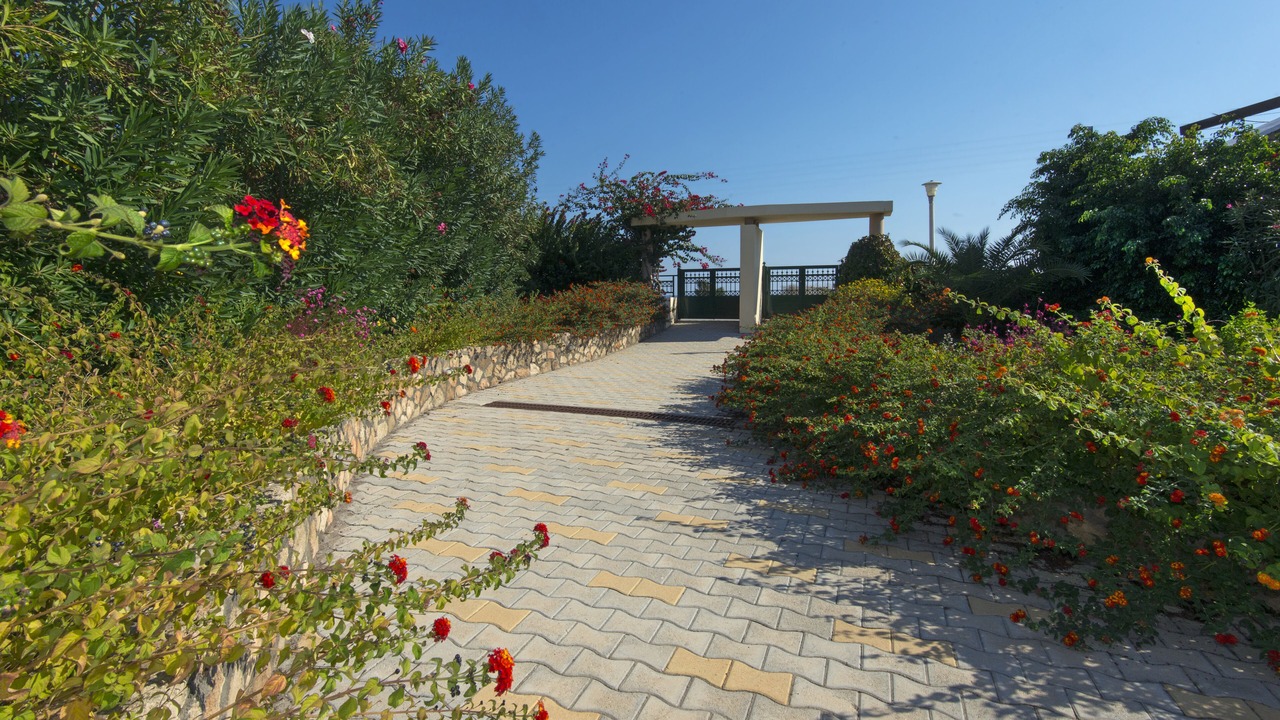Photo of Outdoor in Kiotari