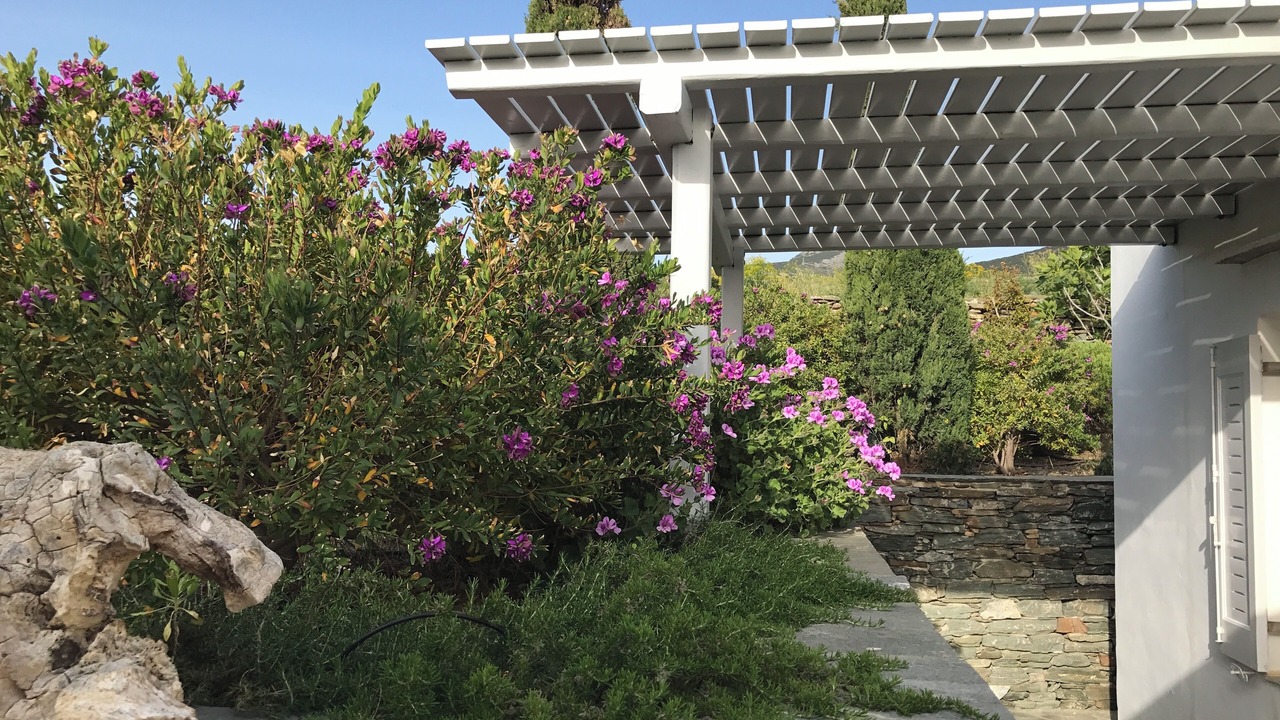 Photo of Outdoor in Platis Gialos