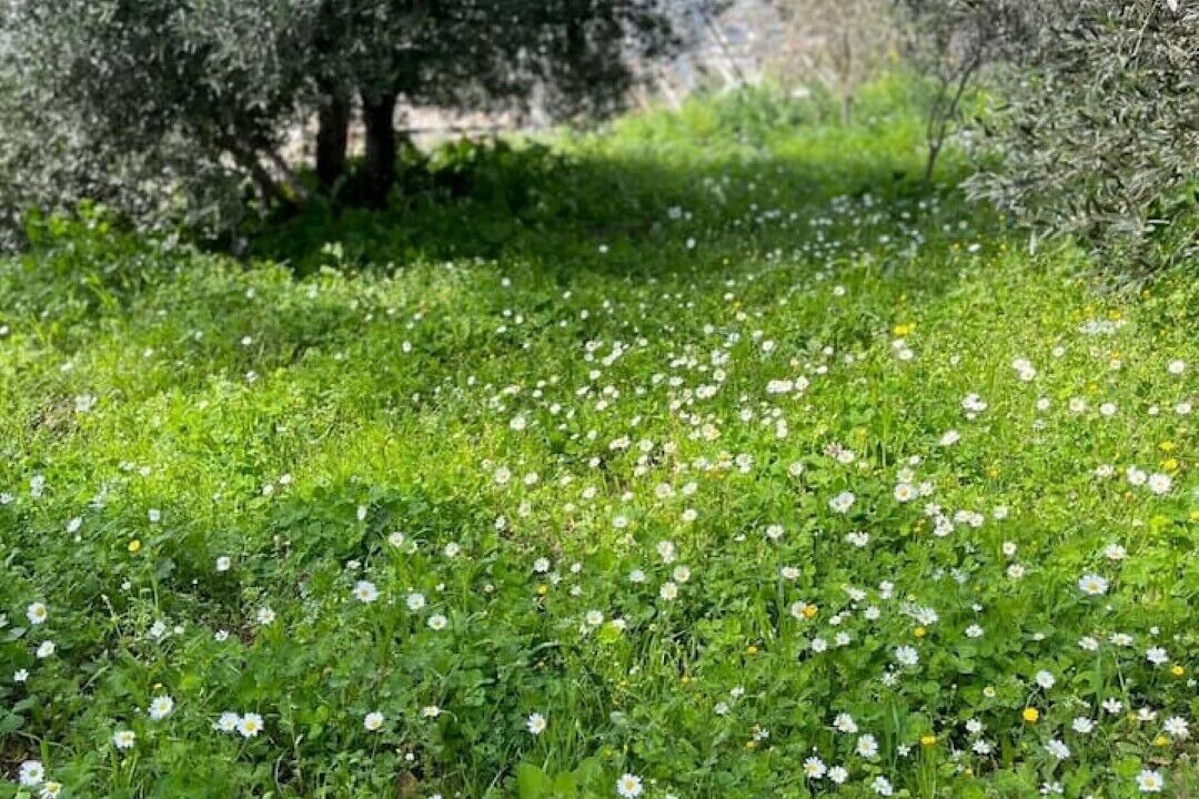 Photo of Outdoor in Panormos