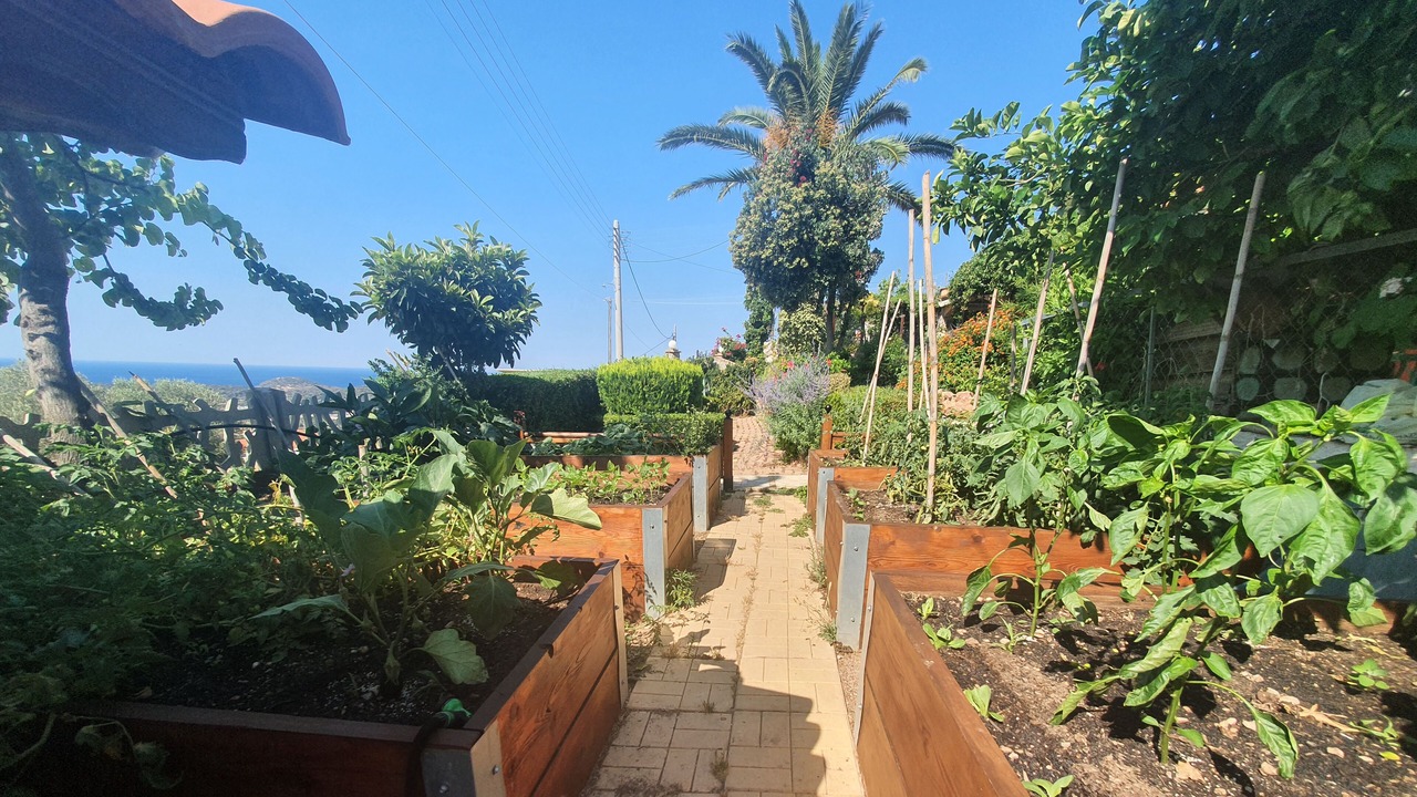 Photo of Outdoor in Anavyssos