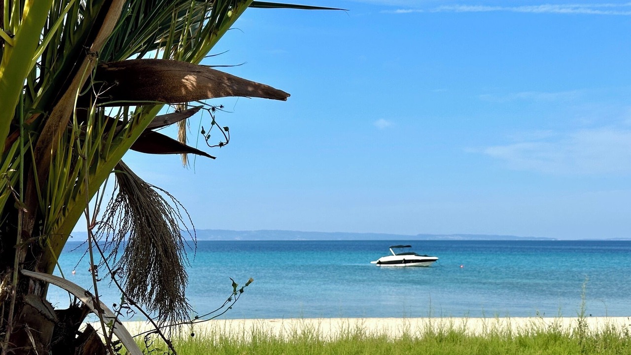 Photo of Others in Sithonia