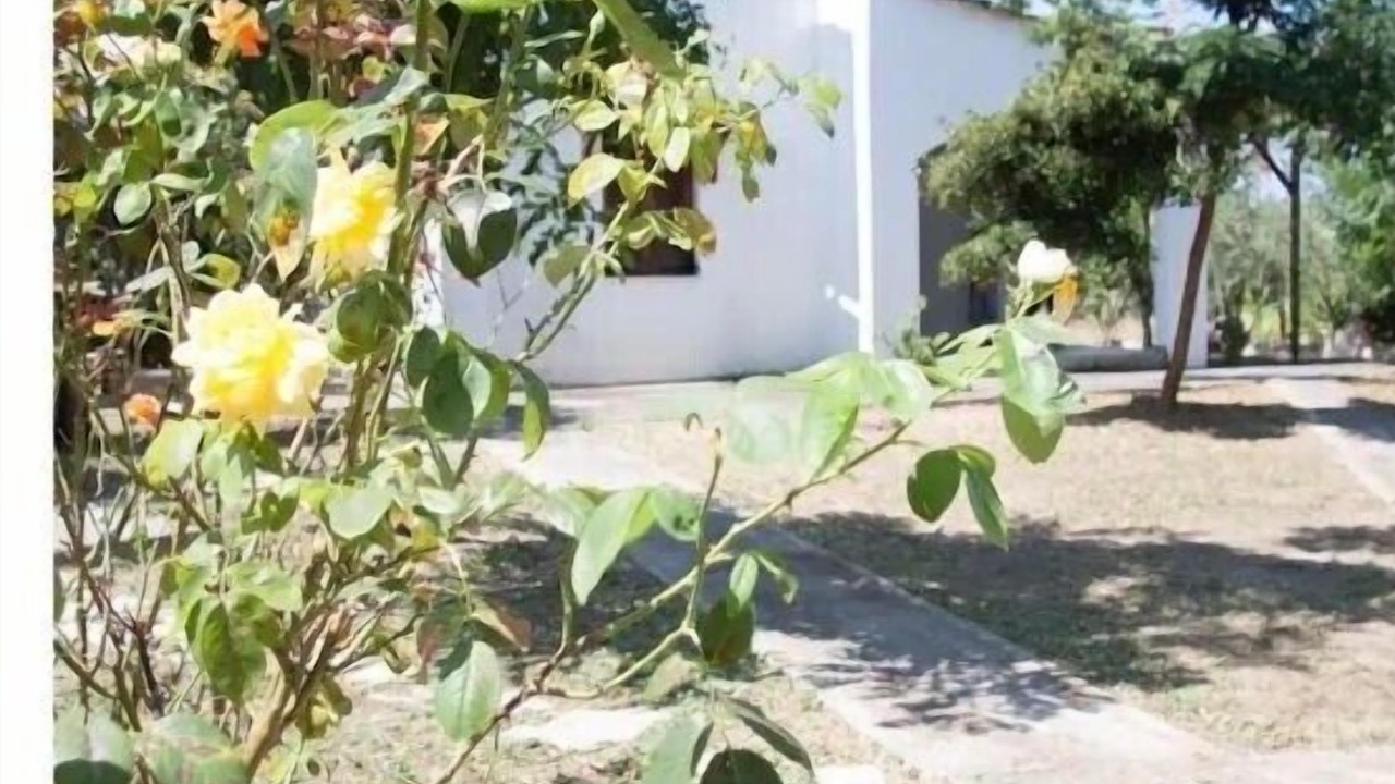 Photo of Outdoor in Edipsos
