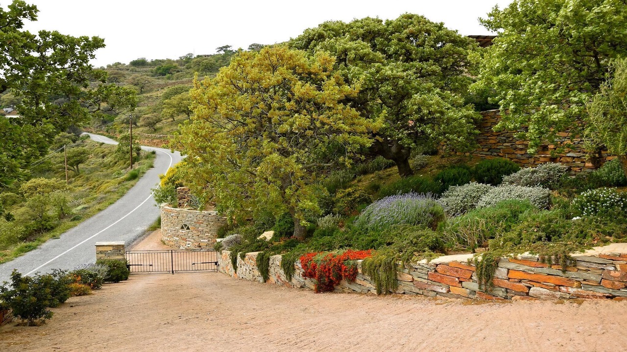 Photo of Others in Kea