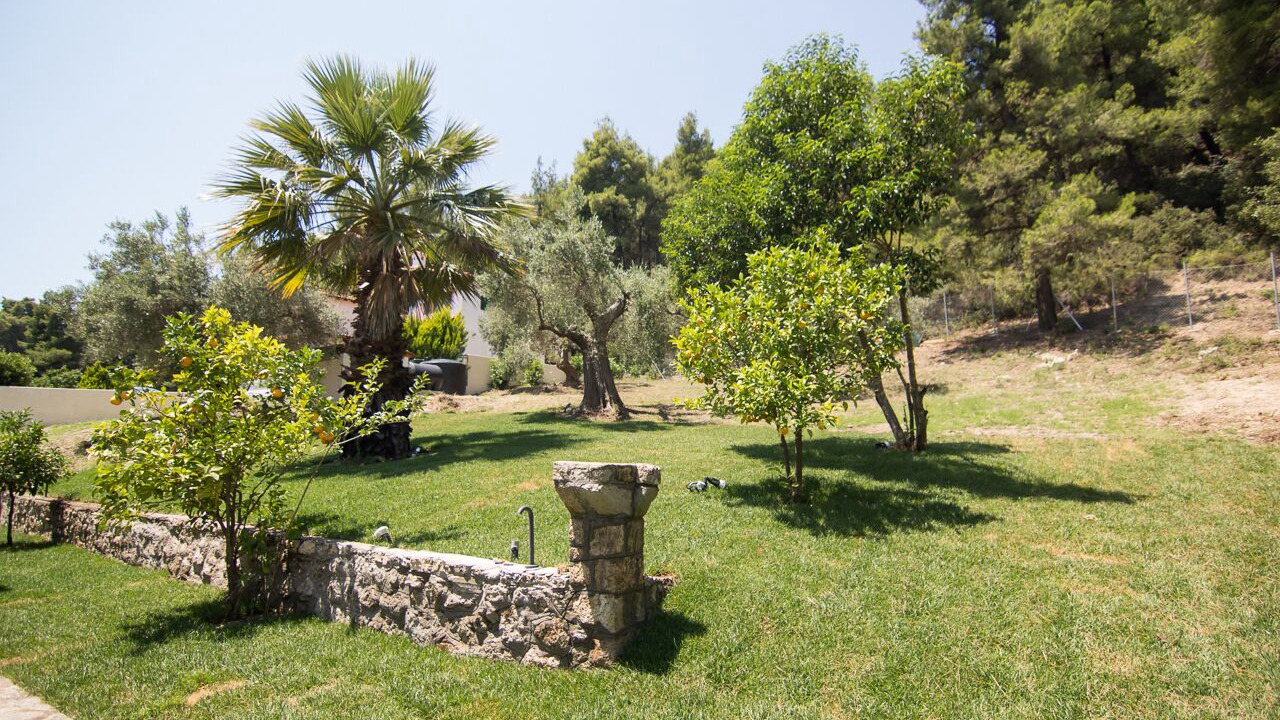 Photo of Outdoor in Paliouri