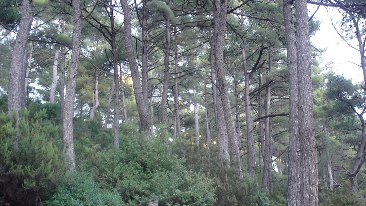 Photo of Outdoor in Armenistis
