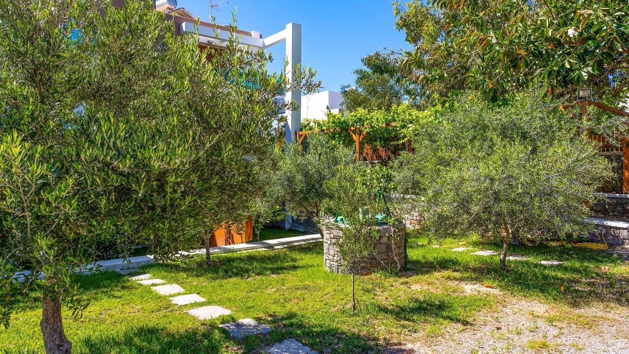 Photo of Outdoor in Kiotari