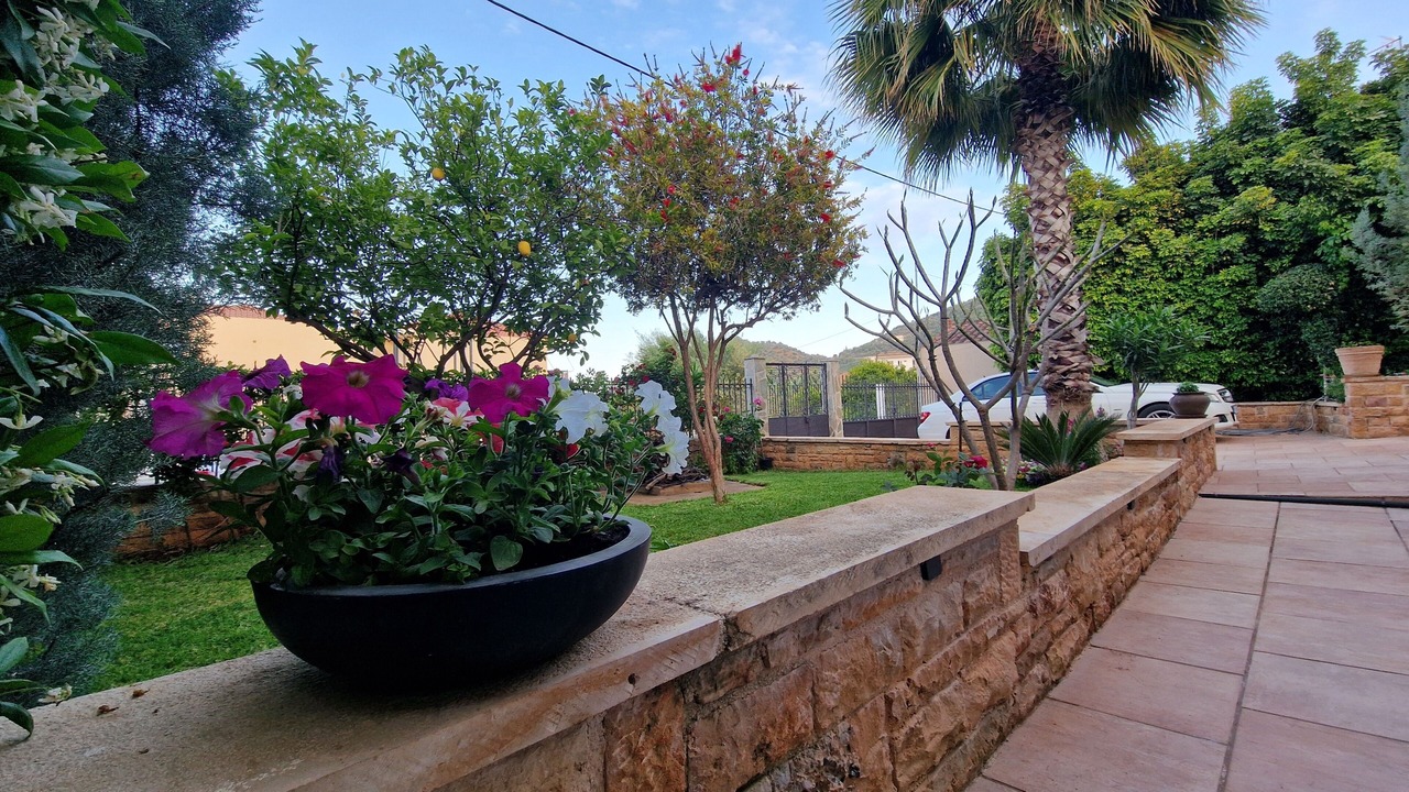 Photo of Outdoor in Livadi