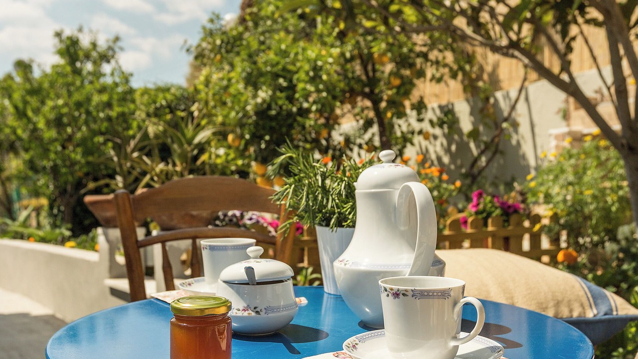 Photo of Outdoor in Dafni