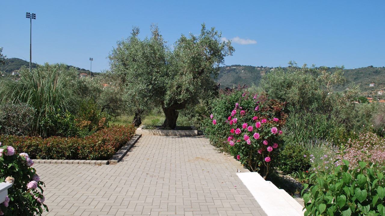 Photo of Outdoor in Skopelos Town